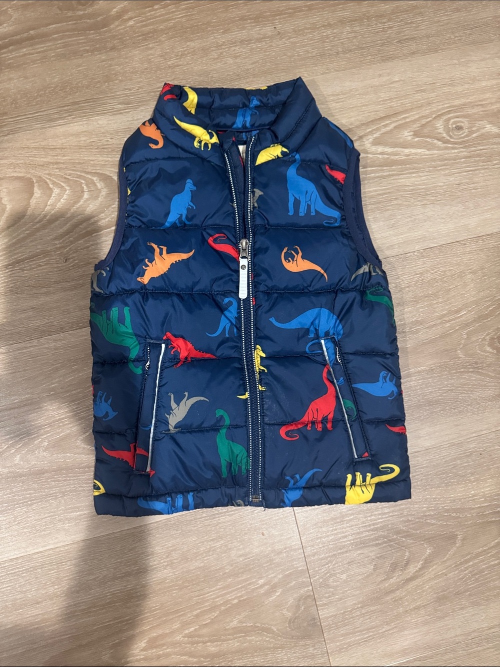 Hanna Andersson Kids Boys Dino Puffer Vest Down Feather 110cm 5Y Blue
Kidcore